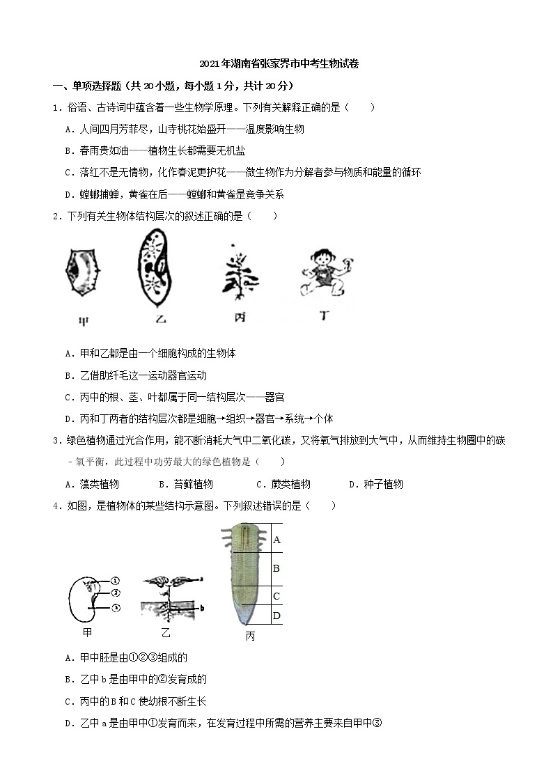 2021年湖南省张家界市中考生物试卷（解析版）01