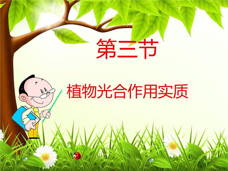 3.6.3 光合作用的实质 课件 2021-2022学年苏教版七年级生物上册01