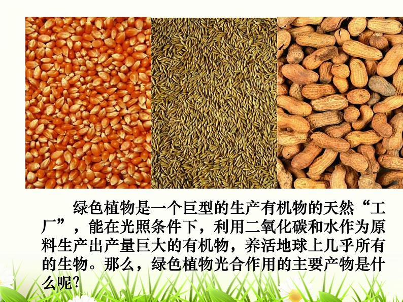 3.6.3 光合作用的实质 课件 2021-2022学年苏教版七年级生物上册03