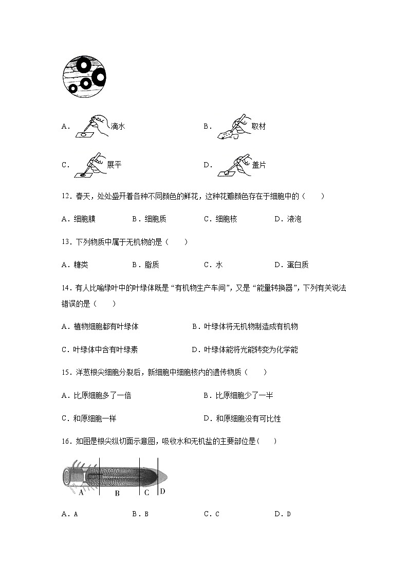 广东省河源市2020-2021学年第一学期七年级生物第二次月考试题(无答案)第3页