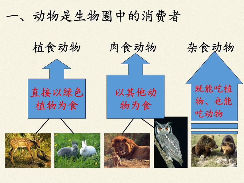 北师大版生物八年级上册 第17章 第2节 我国的动物资源及保护(4)(课件)第6页