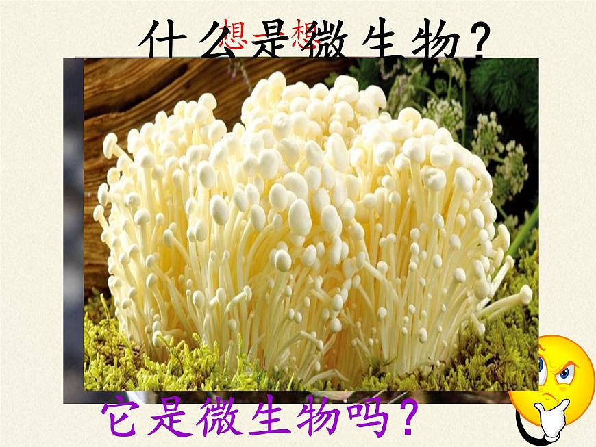 北師大版生物八年級上冊 第18章 第1節(jié) 微生物在生物圈中的作用(2)(課件)第3頁