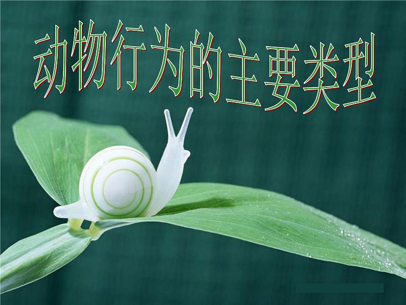 北师大版生物八年级上册 第16章 第2节 动物行为的主要类型_(课件)第1页