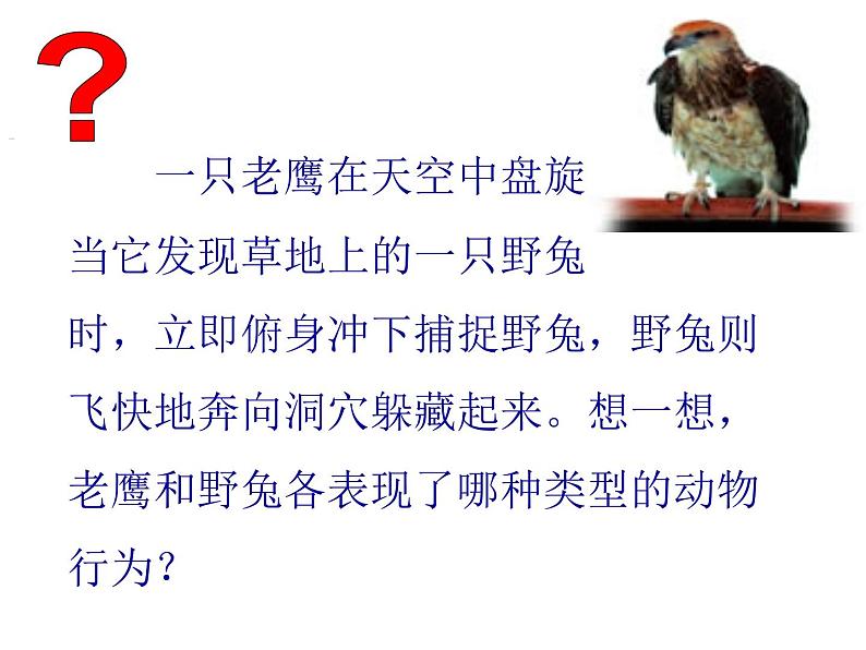 北师大版生物八年级上册 第16章 第2节 动物行为的主要类型_(课件)第8页