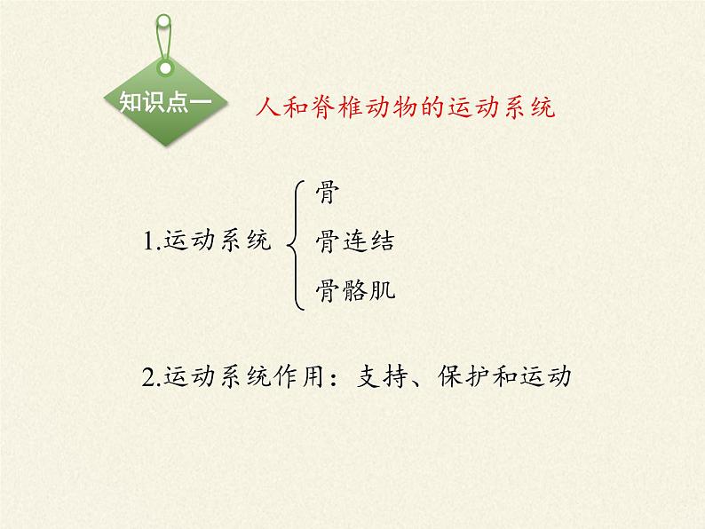 北师大版生物八年级上册 第15章 第2节 动物运动的形成(课件)第3页