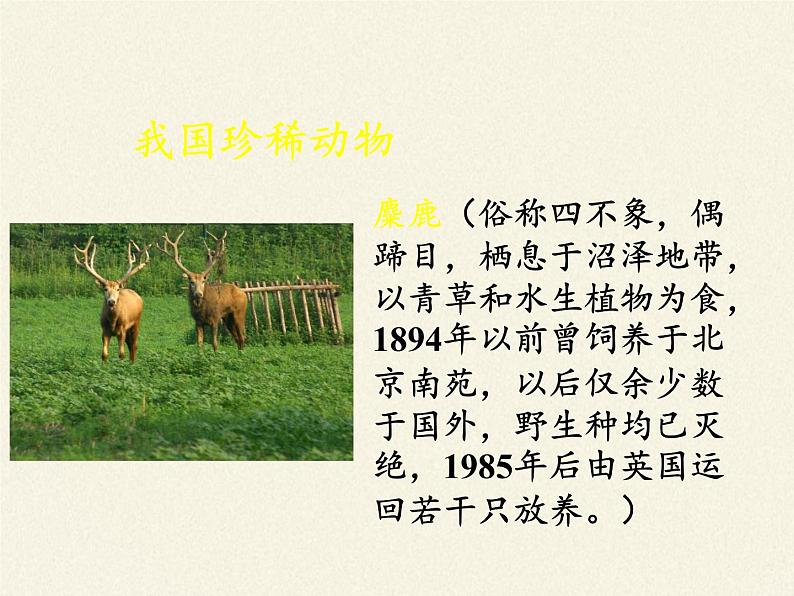 北师大版生物八年级上册 第17章 第2节 我国的动物资源及保护(3)(课件)04