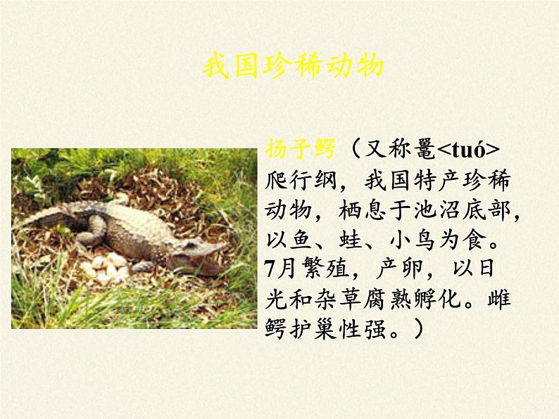 北师大版生物八年级上册 第17章 第2节 我国的动物资源及保护(3)(课件)06