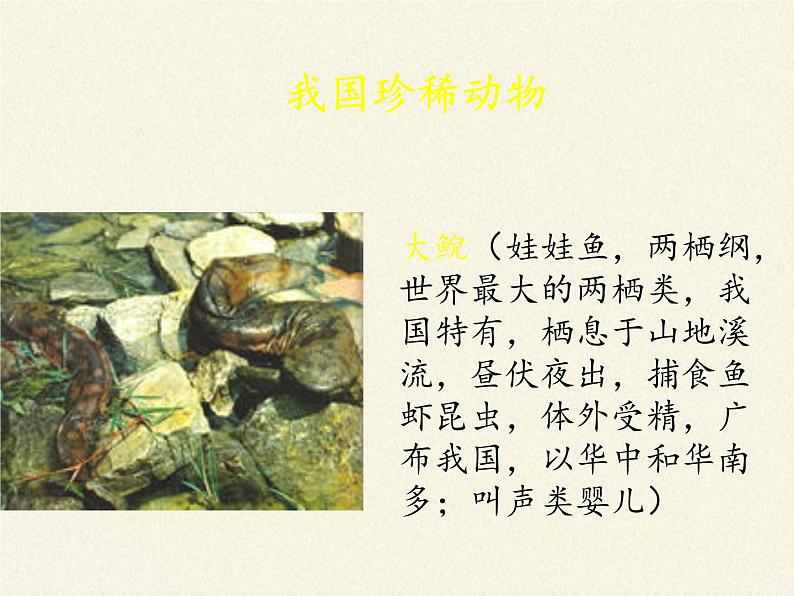 北师大版生物八年级上册 第17章 第2节 我国的动物资源及保护(3)(课件)07