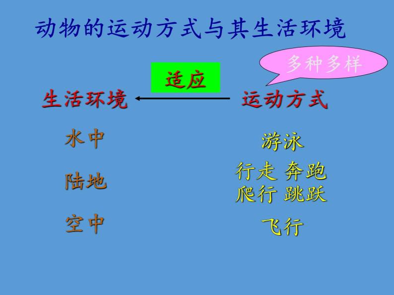 北师大版生物八年级上册 第15章 第1节 动物运动的方式(6)（课件）04