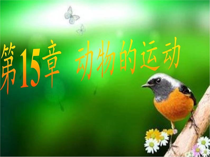 北师大版生物八年级上册 第15章 第1节 动物运动的方式(1)(课件)03