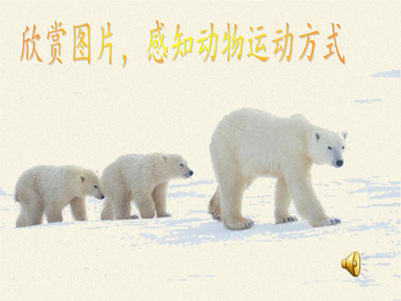 北师大版生物八年级上册 第15章 第1节 动物运动的方式(1)(课件)05