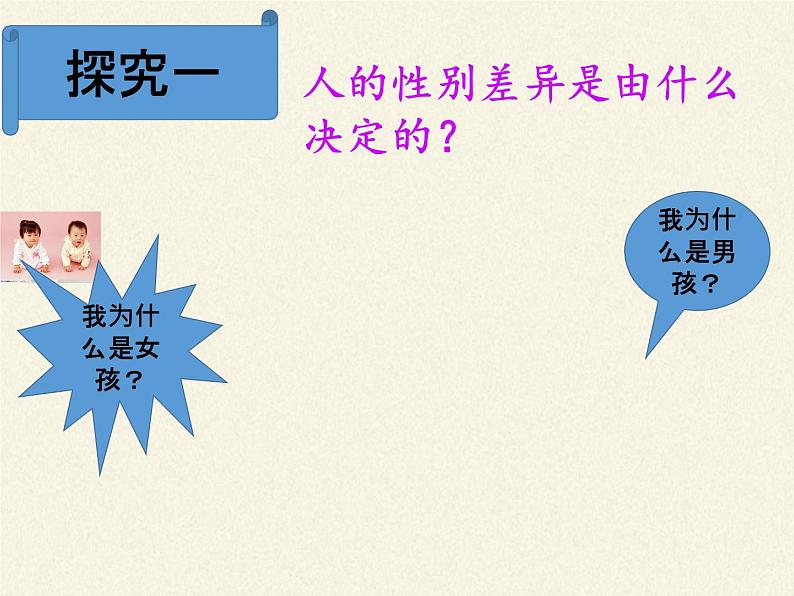 北师大版生物八年级上册 第20章 第4节 性别和性别决定(课件)第3页
