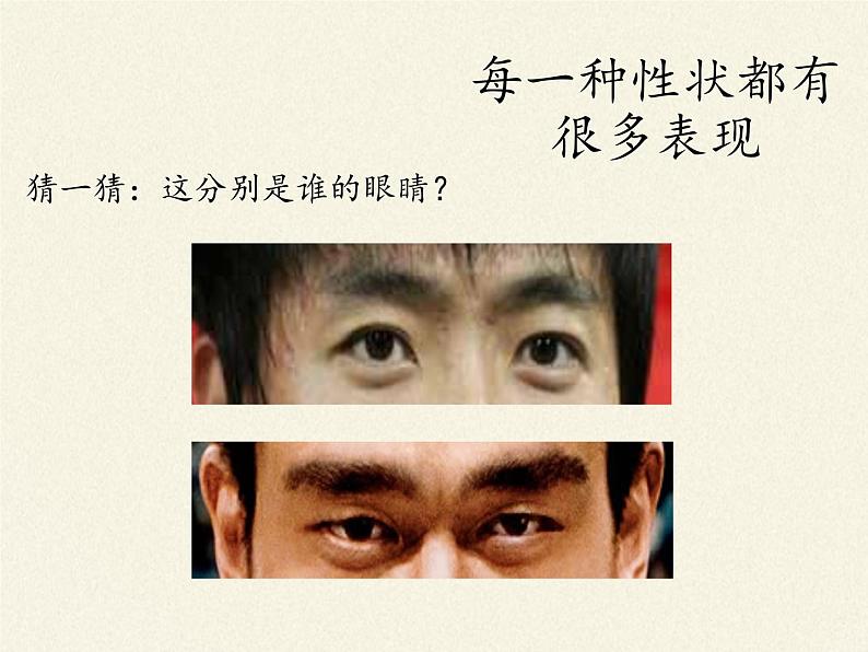 北师大版生物八年级上册 第20章 第1节 遗传和变异现象(1)(课件)第5页