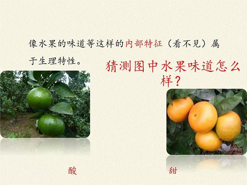 北师大版生物八年级上册 第20章 第1节 遗传和变异现象(1)(课件)第8页