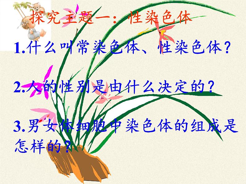 北师大版生物八年级上册 第20章 第4节 性别和性别决定(5)(课件)第4页
