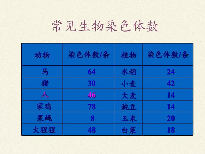 北师大版生物八年级上册 第20章 第2节 性状遗传的物质基础(5)(课件)第6页