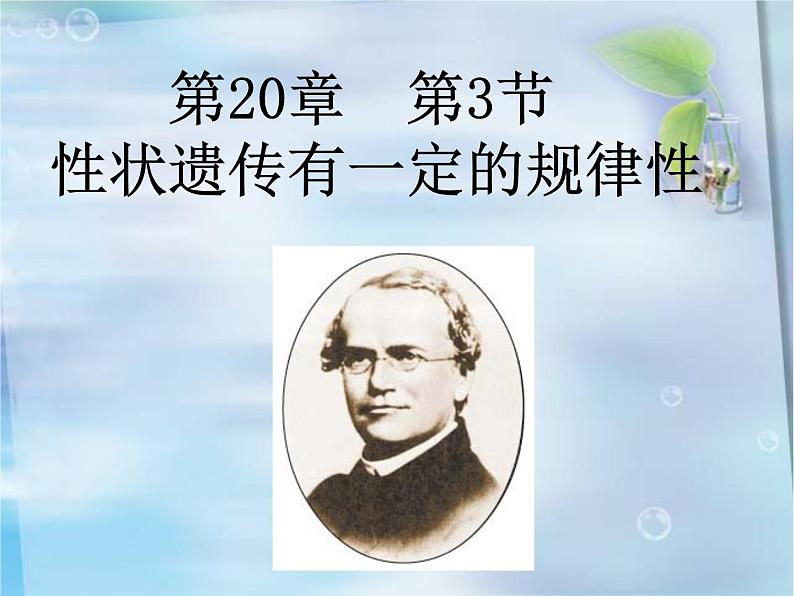 北师大版生物八年级上册 第20章 第3节 性状遗传有一定的规律性(课件)02