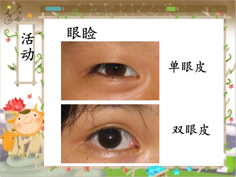 北师大版生物八年级上册 第20章 第2节 性状遗传的物质基础(6)(课件)第7页