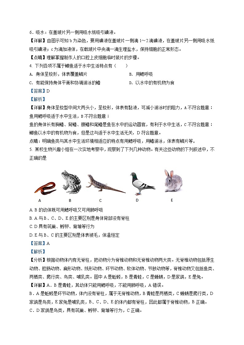 精品:2020年山东省烟台福山区中考诊断性测试(一模)生物试题(解析版)第2页