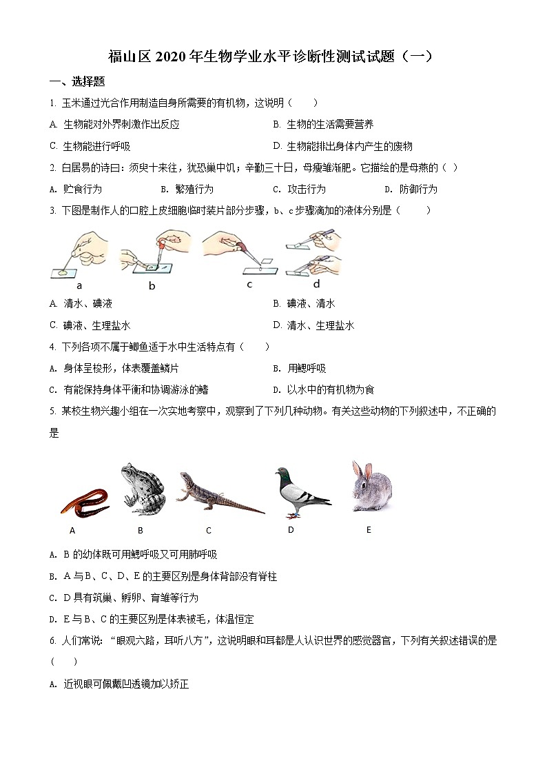 精品:2020年山东省烟台福山区中考诊断性测试(一模)生物试题(原卷版)第1页