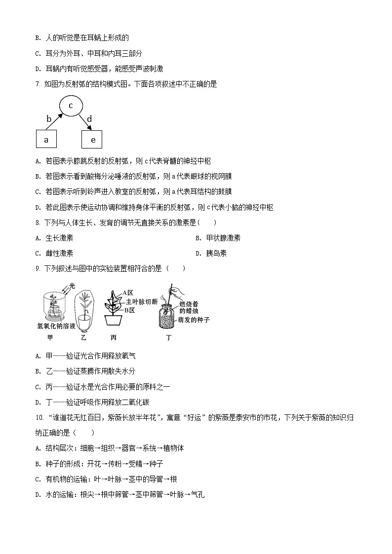 精品:2020年山东省烟台福山区中考诊断性测试(一模)生物试题(原卷版)第2页