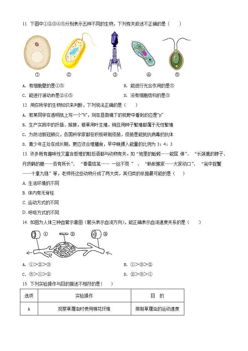 精品:2020年山东省烟台福山区中考诊断性测试(一模)生物试题(原卷版)第3页
