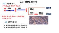 生物七年级上册第四节 单细胞生物备课ppt课件