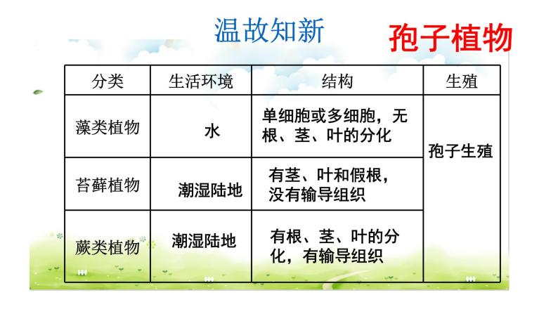 人教版七年级生物上册--3.1.2种子植物课件PPT02