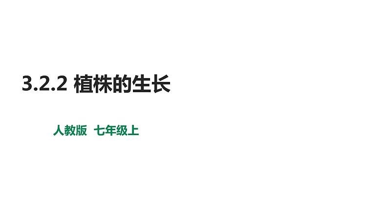 3.2.2植株的生长 课件第1页