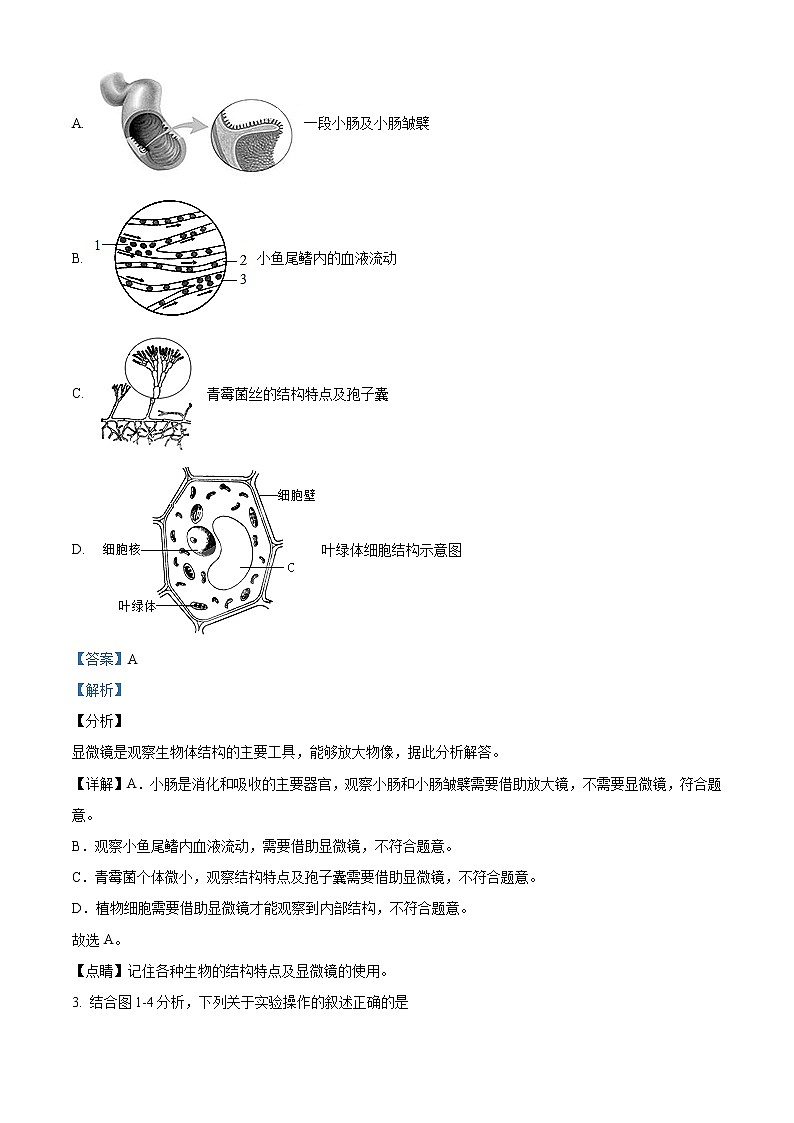精品解析:2021年山东省潍坊市潍城区八年级中考一模考试生物试题02