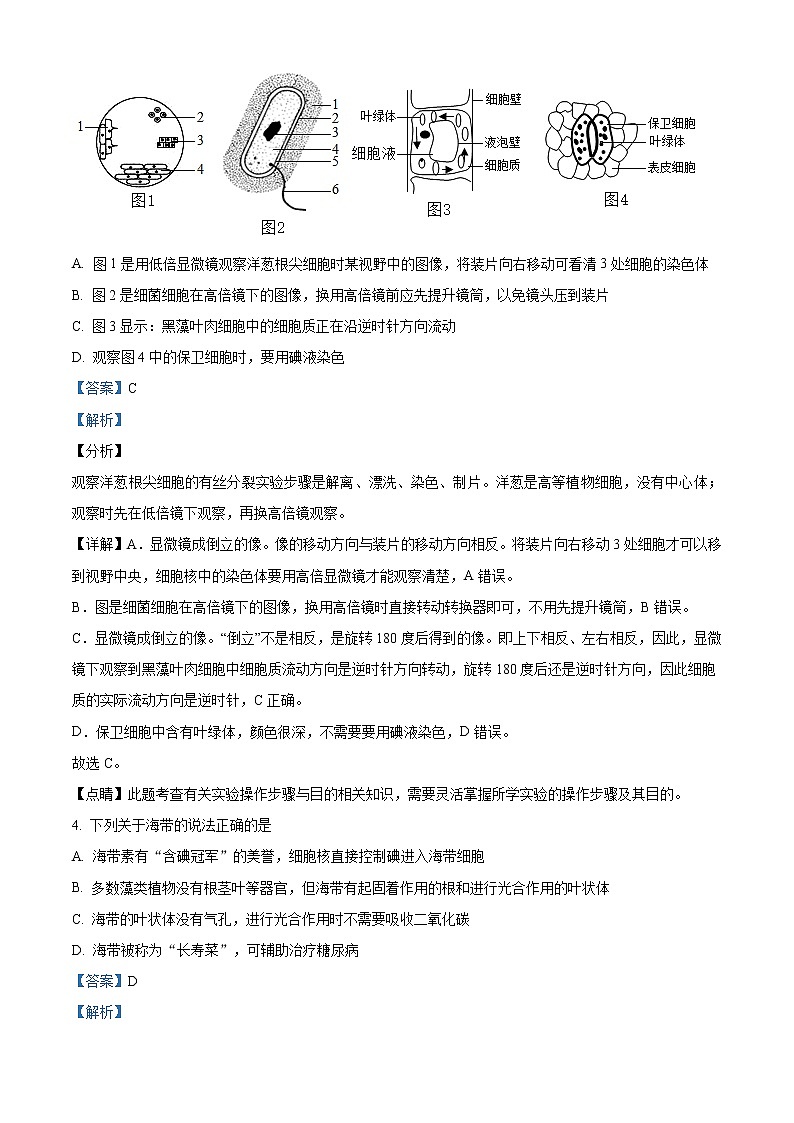 精品解析:2021年山东省潍坊市潍城区八年级中考一模考试生物试题03