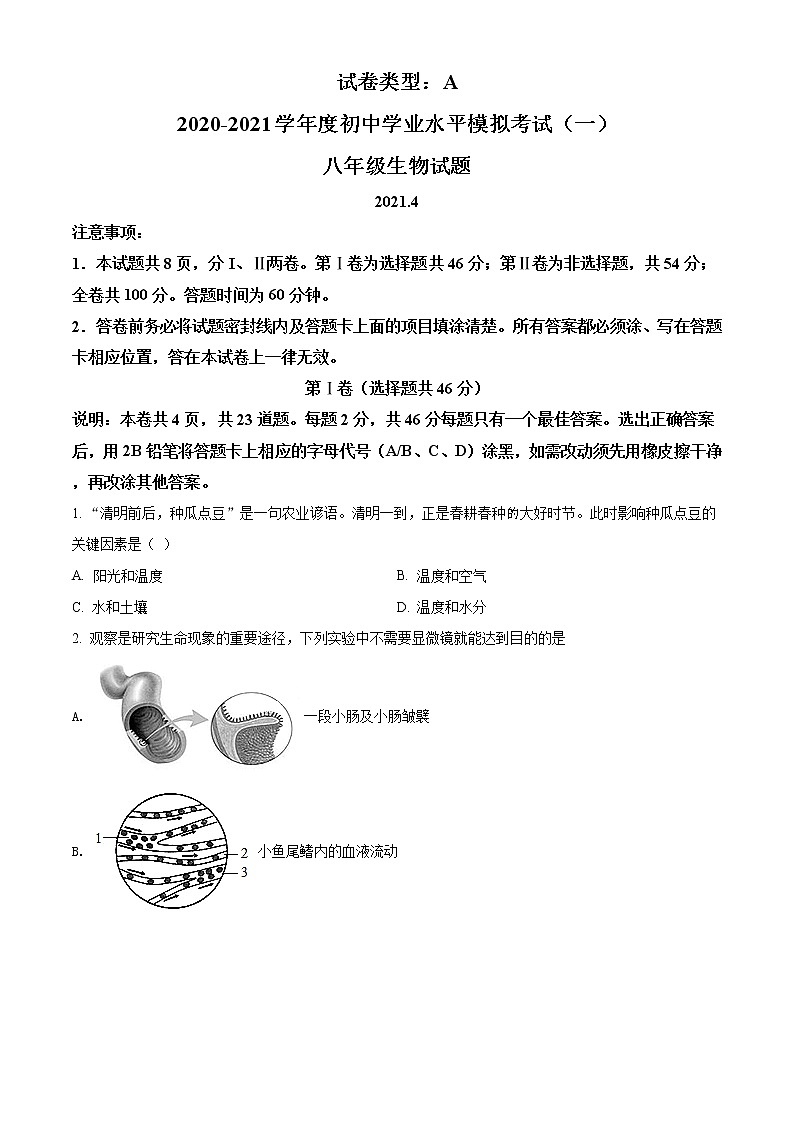 精品解析:2021年山东省潍坊市潍城区八年级中考一模考试生物试题01