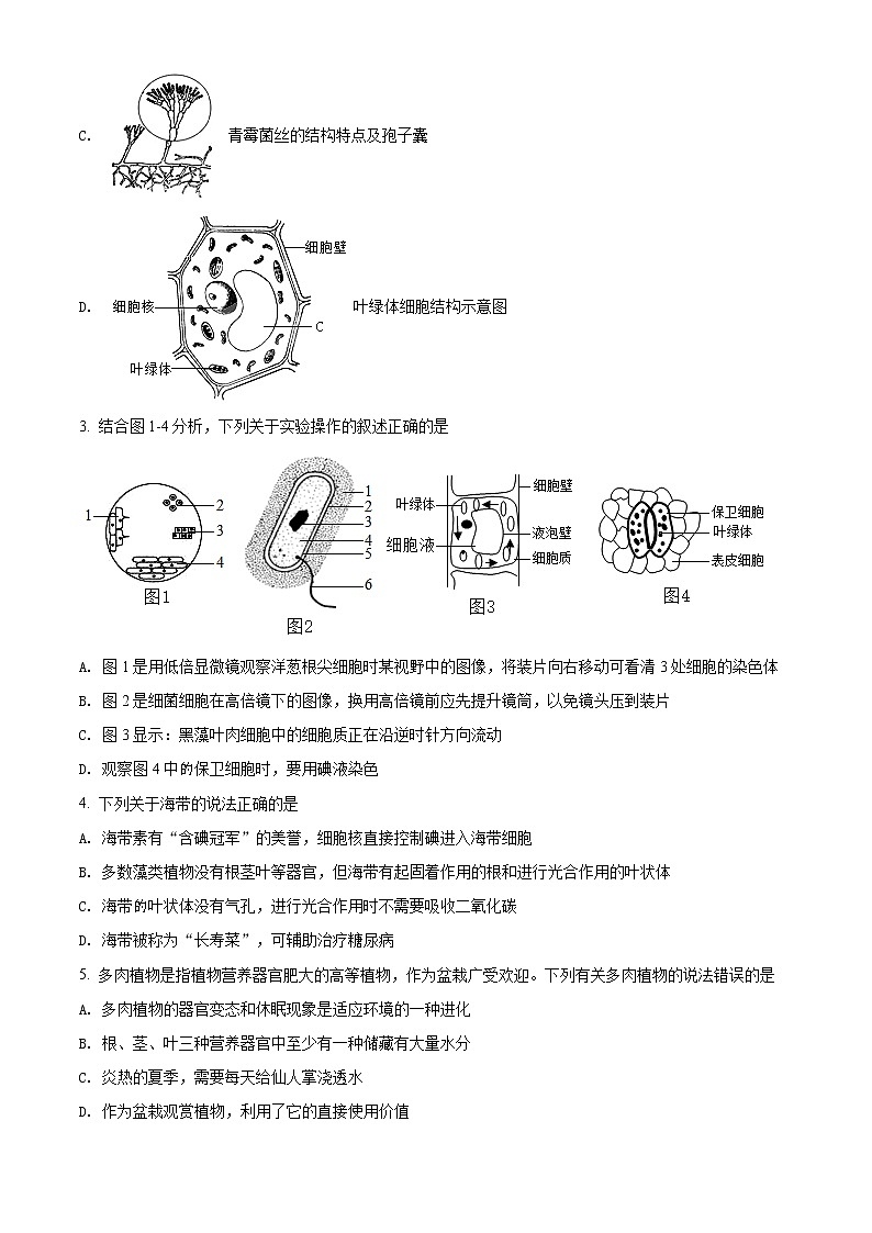 精品解析:2021年山东省潍坊市潍城区八年级中考一模考试生物试题02