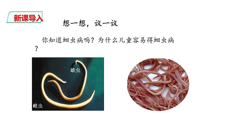 人教版八年级上册生物---5.1.2线形动物和环节动物课件(内含2段嵌入视频)第2页