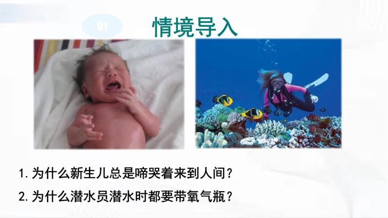 济南版生物七年级下册 第三单元 第二章 第一节 人体与外界的气体交换 第1课时 课件04