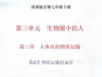 2020-2021学年第三节 物质运输的途径一等奖课件ppt