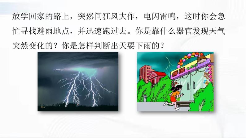 济南版生物七年级下册 第三单元 第五章 第四节 人体对周围世界的感知 第1课时 课件04