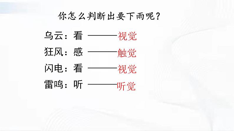 济南版生物七年级下册 第三单元 第五章 第四节 人体对周围世界的感知 第1课时 课件05