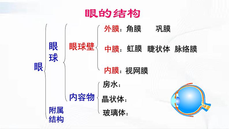 济南版生物七年级下册 第三单元 第五章 第四节 人体对周围世界的感知 第1课时 课件08