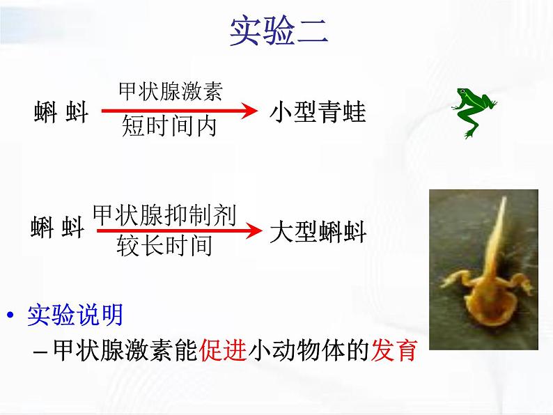 济南版生物七年级下册 第三单元 第五章 第一节 人体的激素调节 课件08