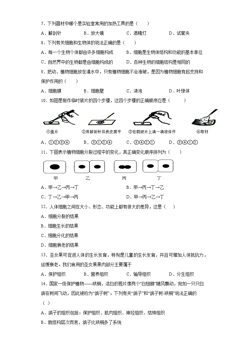 山东省枣庄市薛城区2021-2022学年七年级上学期期中生物试题(word版含答案)第2页