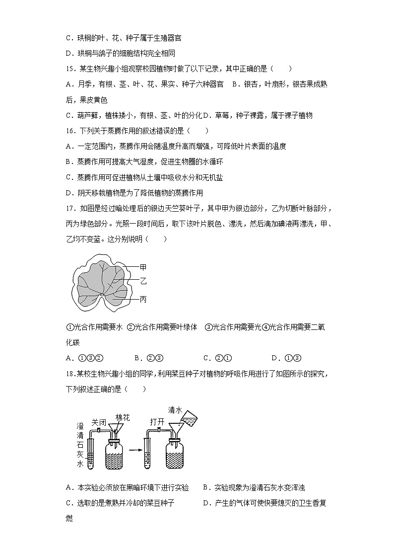山东省枣庄市薛城区2021-2022学年七年级上学期期中生物试题(word版含答案)第3页