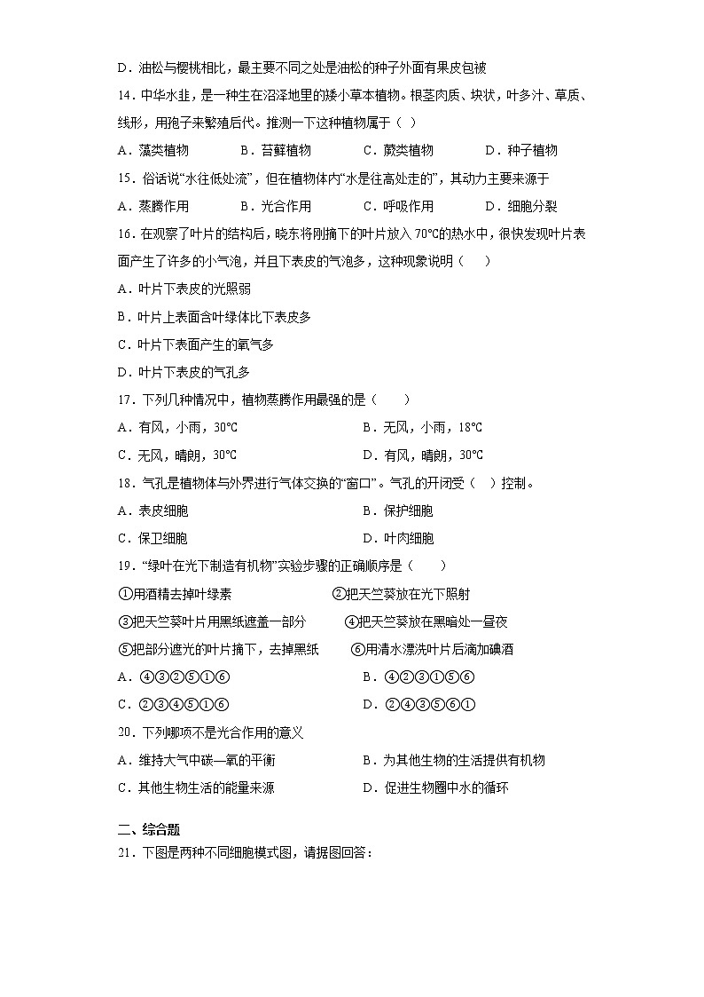 山东省济宁市兖州区2021-2022学年七年级上学期期中生物试题(word版含答案)03