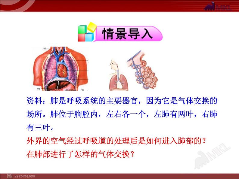人教版生物七年级下第3章 第2节 发生在肺内的气体交换 课件第2页