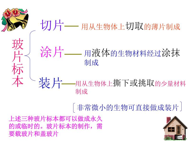 植物细胞PPT课件免费下载03