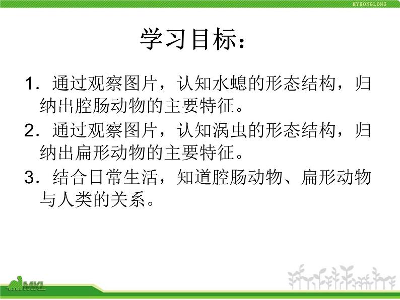 人教版八年级生物上册 5.1.1 腔肠动物和扁形动物 课件第4页