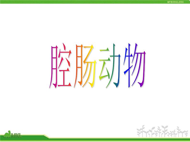 人教版八年级生物上册 5.1.1 腔肠动物和扁形动物 课件第5页