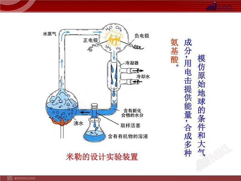 初中生物多媒体教学课件:第7单元 第3章 第1节 地球上生命的起源(人教版八年级下册)08
