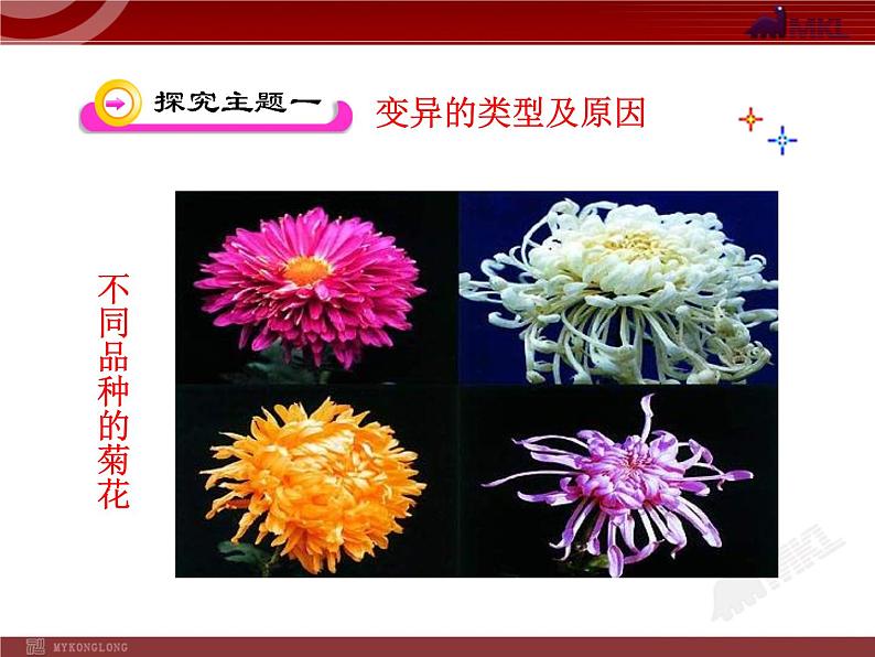 初中生物多媒体教学课件:第7单元 第2章 第5节 生物的变异(人教版八年级下册)第4页