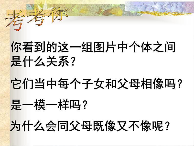 人教版八年级生物下册 7-2 第1节 基因控制生物的性状 课件第6页